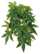 Фото Trixie Растение для террариума Abutilon 20х30см, шёлк