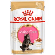 Фото Royal Canin Kitten Maine Coon пучи для котят породы мейн-кун в возрасте от 3 до 15 месяцев