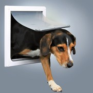 Фото Trixie Дверца для собак 2 положения 22,5х29,5см, пластик, белый