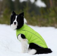 Фото Osso-fashion Жилет зимний для собак Аляска р.45-2