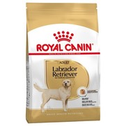 Фото Royal Canin Labrador Retriever 30 Adult сухой корм для собак породы Лабрадор-ретривер