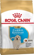Фото Royal Canin Golden Retriever Junior- Корм для собак породы Голден ретривера до 15 месяцев