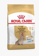 Фото Royal Canin Yorkshire Terrier Adult 8+ сухой корм для собак породы йоркширский терьер старше 8 лет