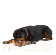 Фото Zogoflex Tux Зогофлекс игрушка для собак под лакомства оранежевый