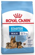 Фото Royal Canin Maxi Starter Puppy Роял Канин Макси Стартер для щенков крупных пород до 2мес