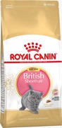 Фото Royal Canin British Shorthair Kitten Корм для британских короткошерстных котят в возрасте до 12 мес