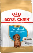 Фото Royal Canin Dachshund Junior - Роял Канин для породы Такса до 10 месяцев