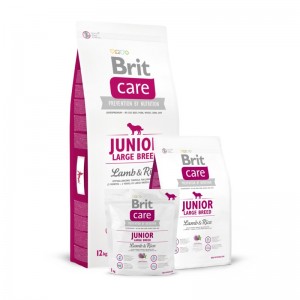 Купить Brit Care Junior Large Breed Lamb & Rice - Брит корм для щенков крупных пород (ягненок и рис) 