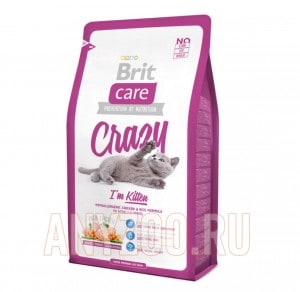 Купить Brit Care Cat Crazzy Kitten Брит Сухой корм для котят Цыпленок с рисом 